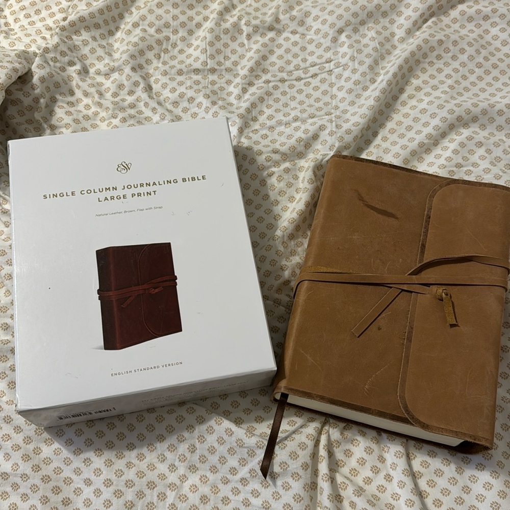 ESV single column journaling bible large print